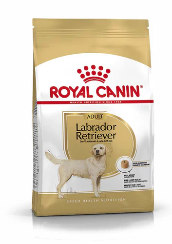 Royal Canin
      
      
       BHN Labrador Retriever Adult
