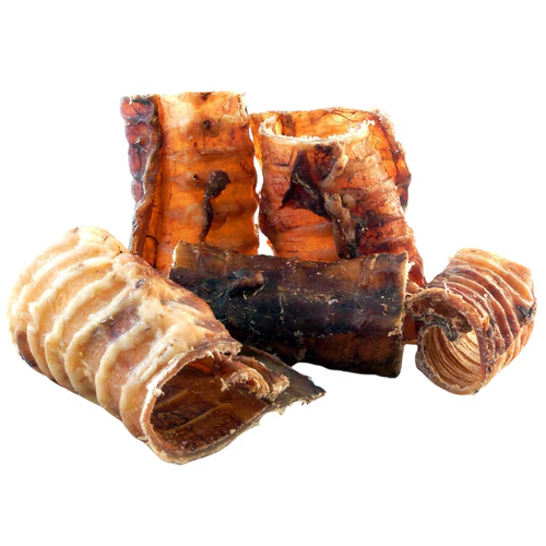 Von Barf
      
      
      Von BARF Beef Trachea, žvakalica za pse, od goveđeg grkljana, 500g