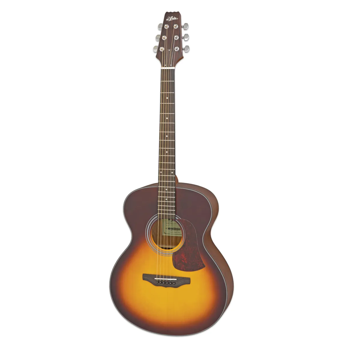 Aria AF-10 MTTS - Akustična Gitara