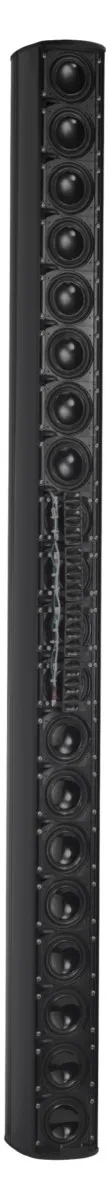 Biamp Desono ENT220B Black