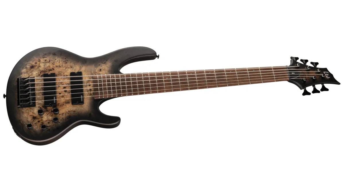 ESP LTD D-6 NS B