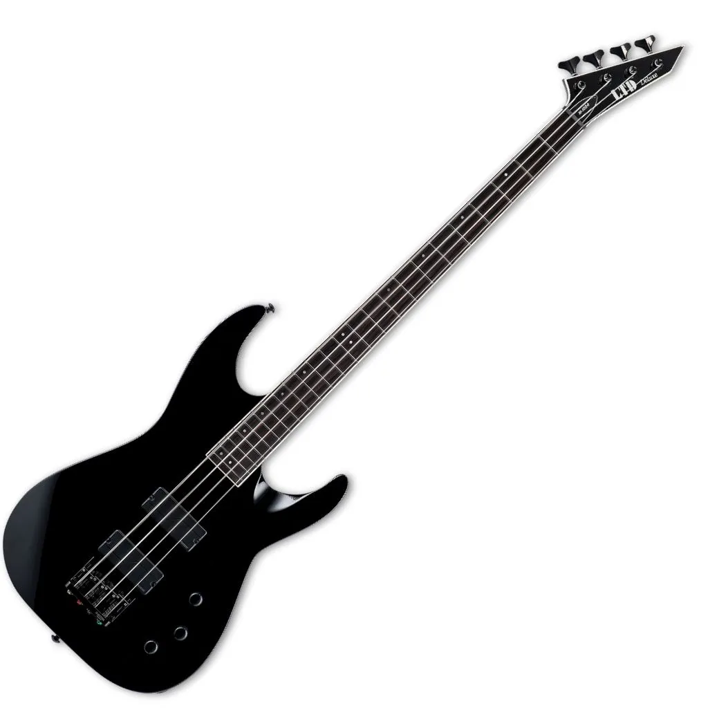 ESP  LTD M-1004 BLACK