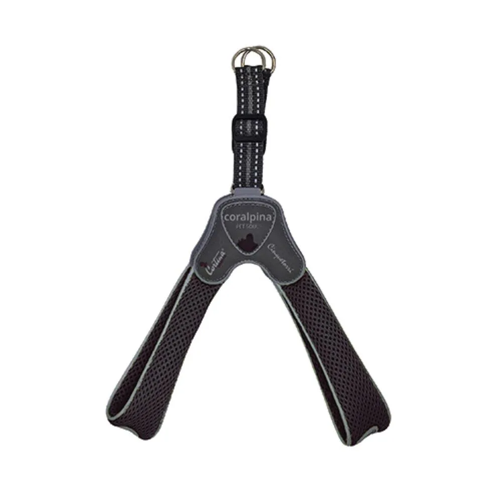Am CINQUETORRI crni SZ1 20-30 cm