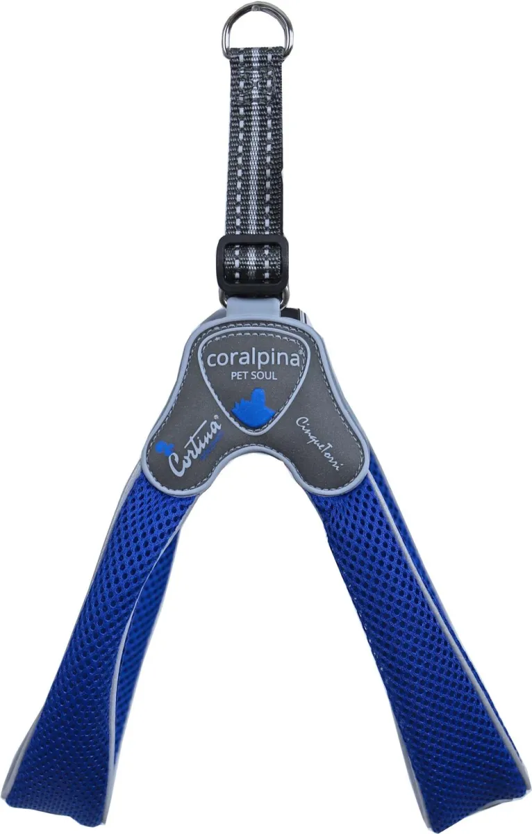 Am CINQUETORRI ELECTRIC plav SZ6 45-55 cm