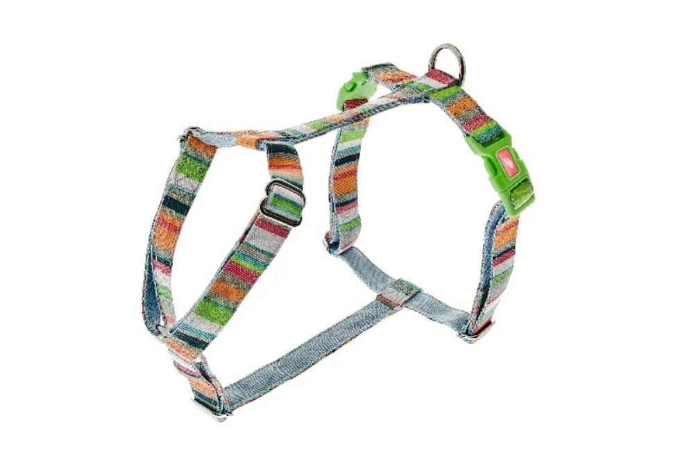 AM RAINBOW 10MMX30-40CM