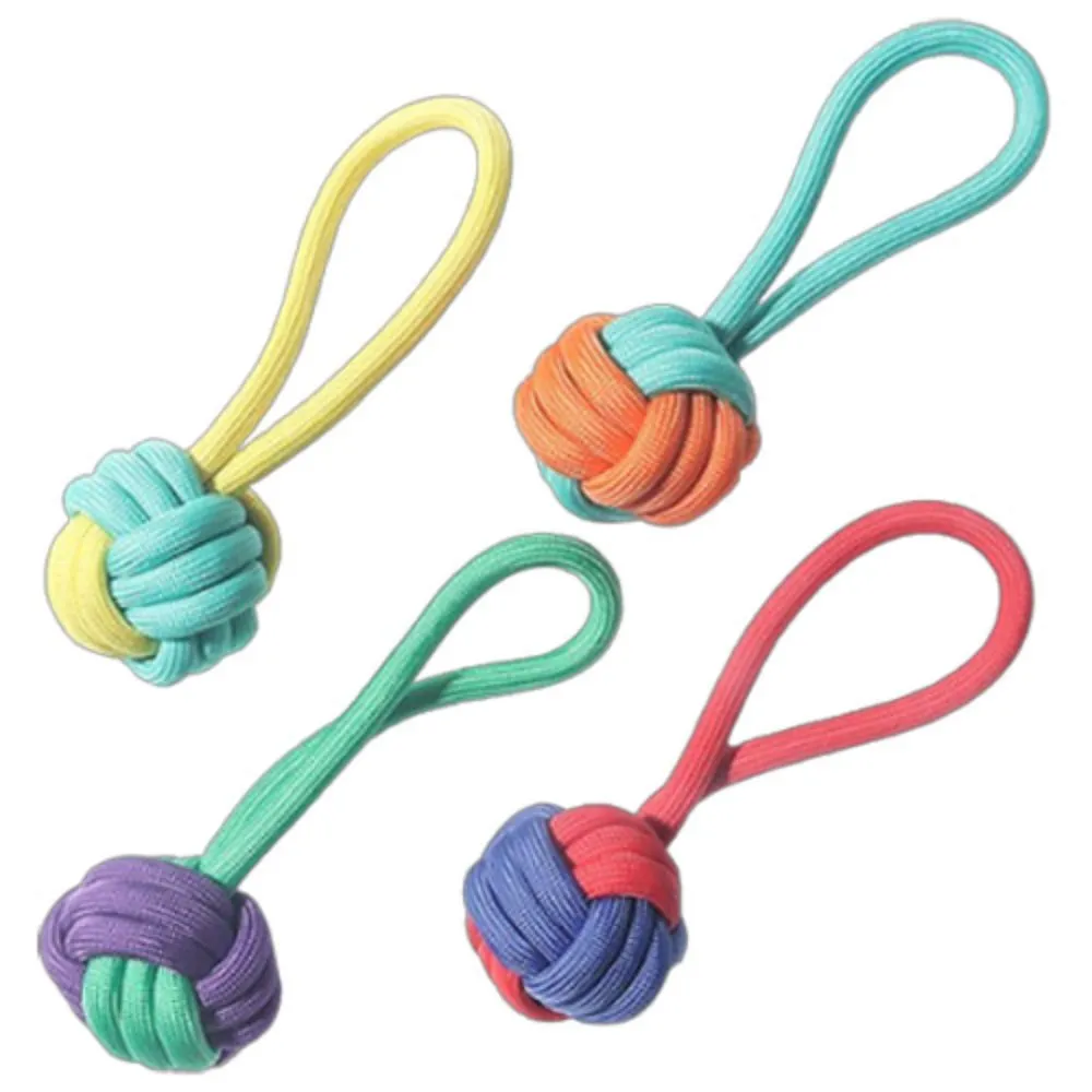 BESTA IGRACKA ZA PSE LOPTICA SA RUCKOM BUNDLE KANAP 21CM MIX BOJA
