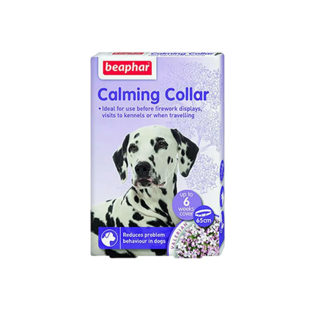 CALMING COLLAR DOG