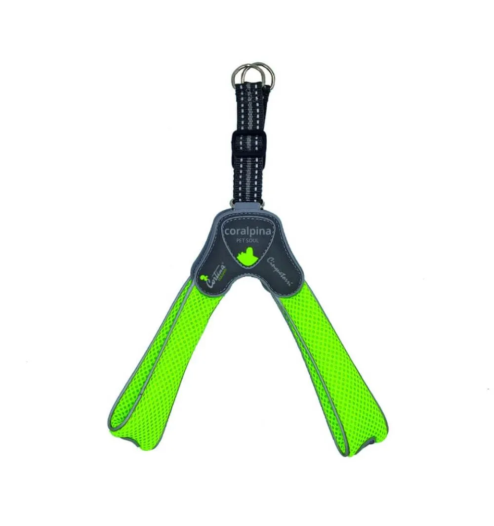 D.Am CINQUETORRI zeleni SZ6 45-55 cm