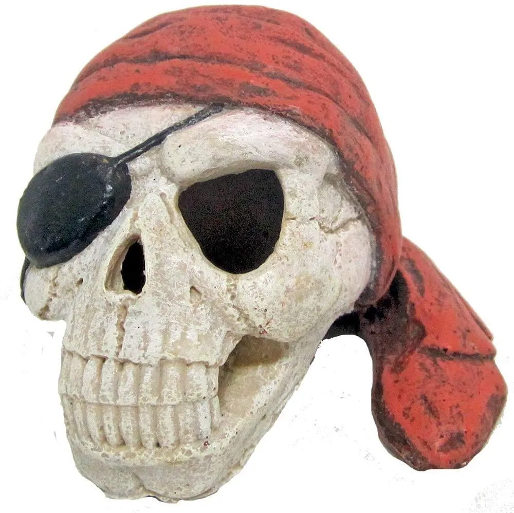 DEKORACIJA PIRATE LOBANJA