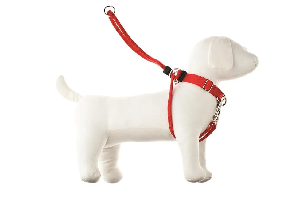 D.NAJLON AM M 30-42CM CRVENI