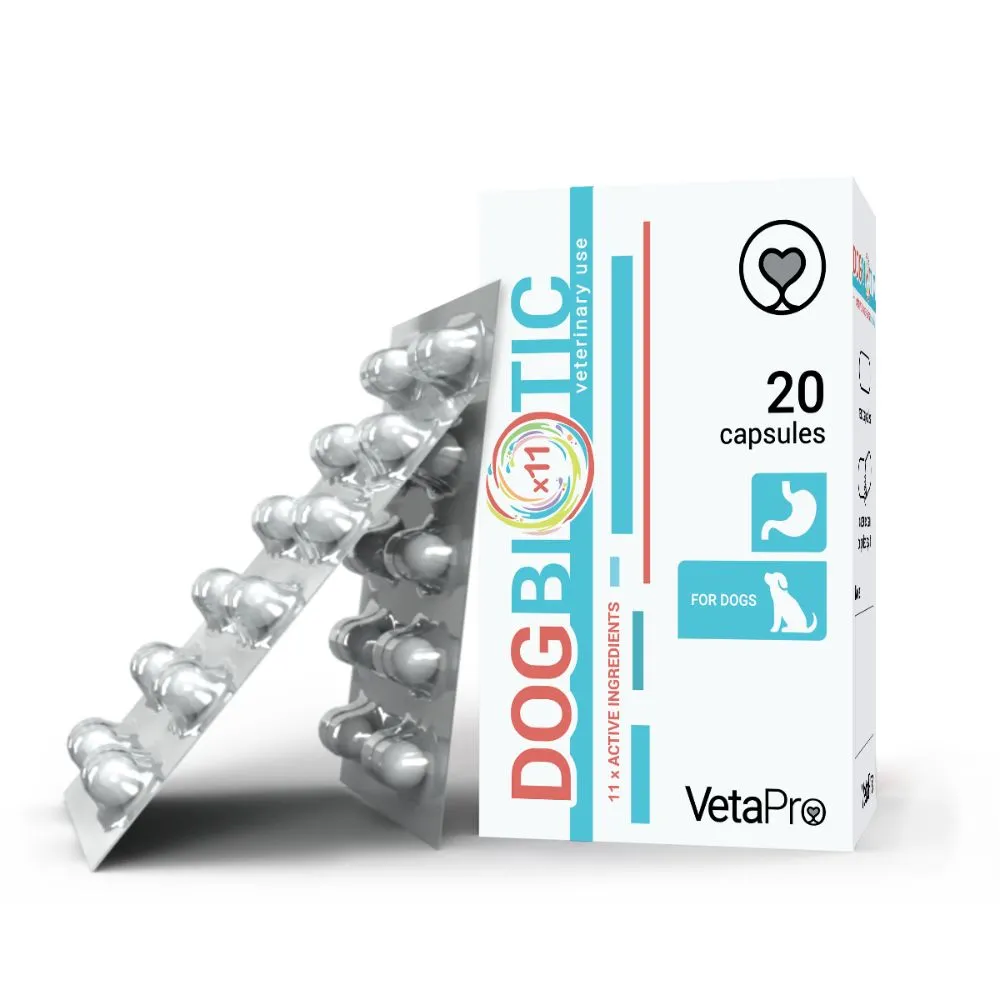 DOG BIOTIC 20 KAPSULA