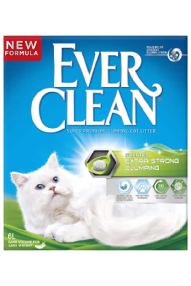 EVERCLEAN EXTRA STRONG SCENTED 6 L