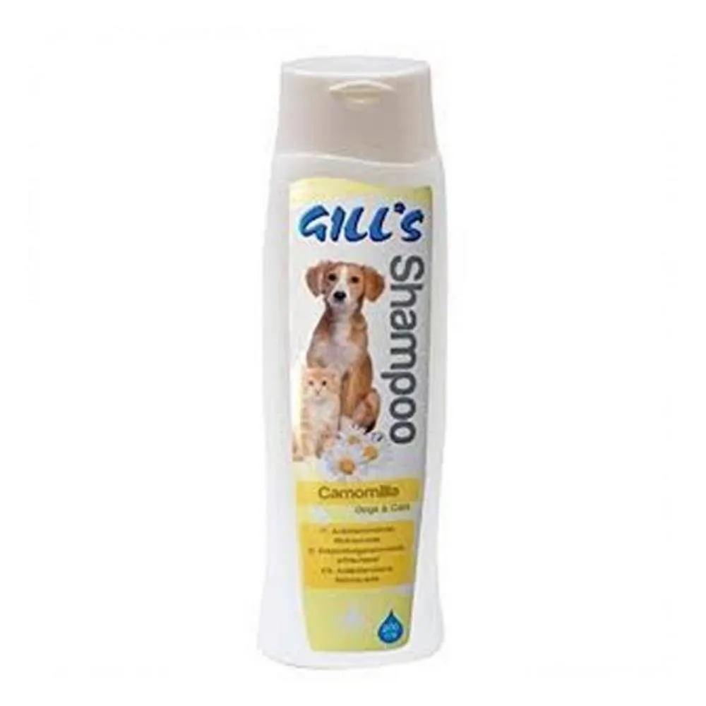 GILLS SAMPON KAMILICA 200ML