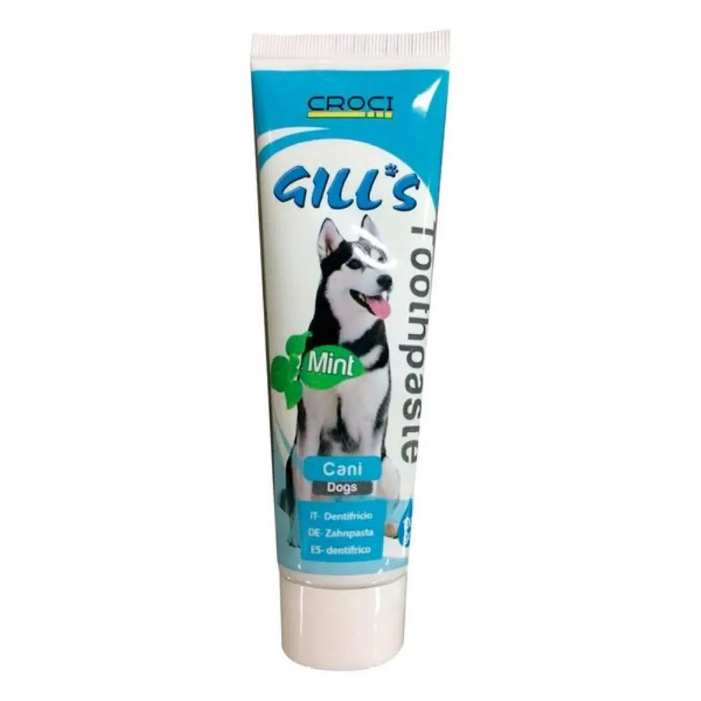 GILLS ZUBNA PASTA MINT 100G