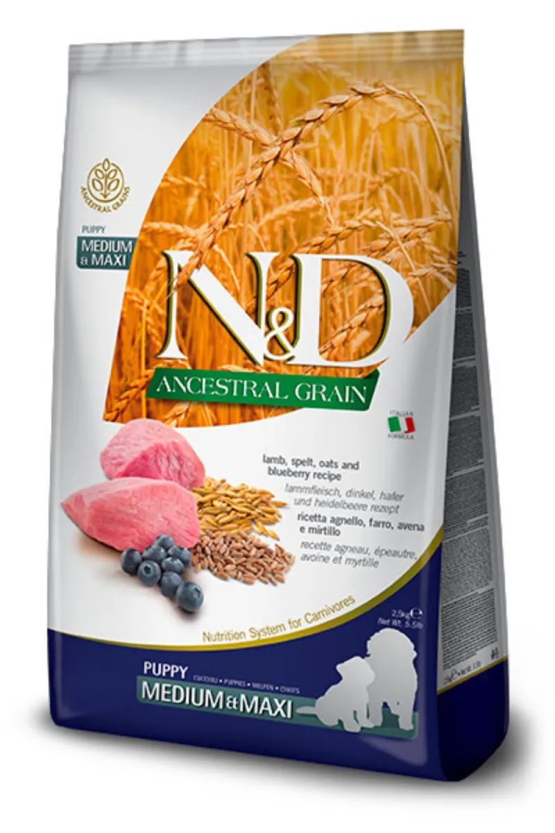 N&D AG Puppy Lamb&Blueberry Medium/Maxi 
