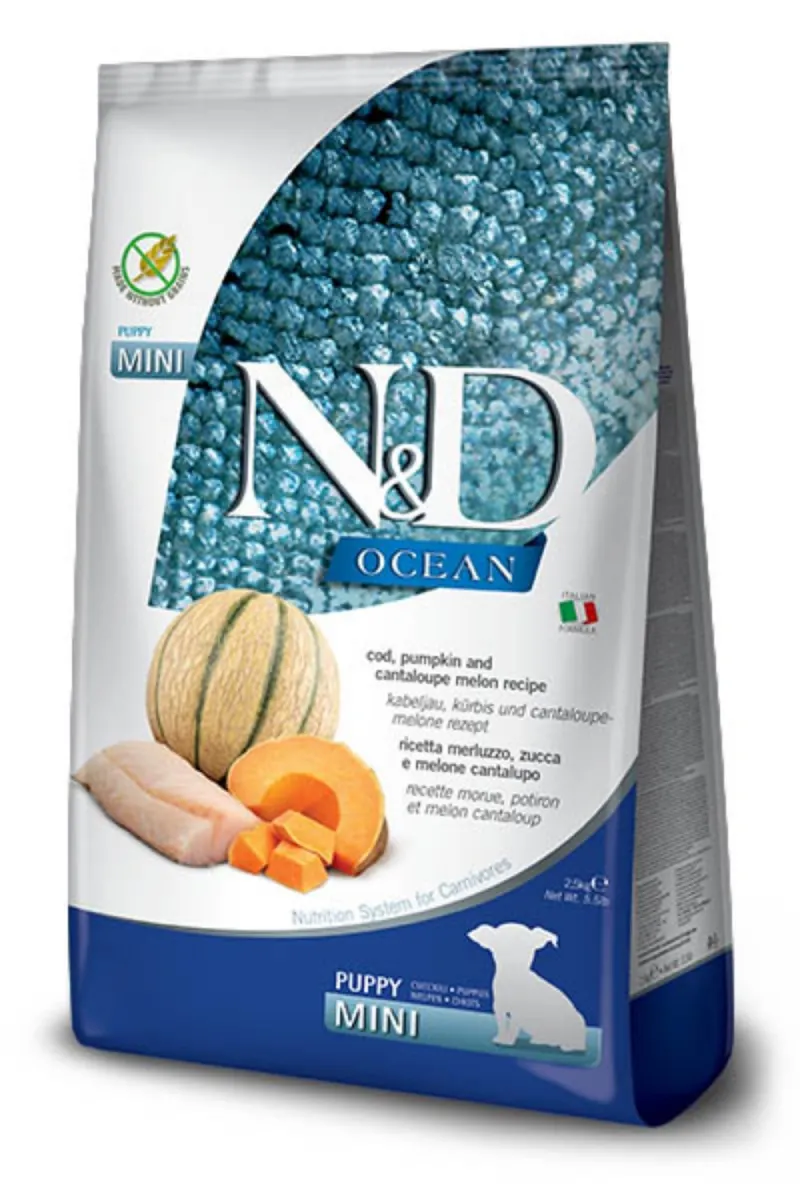 N&D Ocean Puppy Cod Pumpkin&Cantaloupe Melon Mini 800g