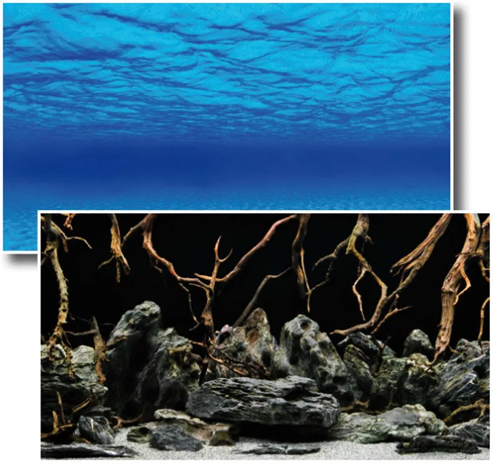 POSTER ZA AQ DUPLI MYSTIC 30X15 M