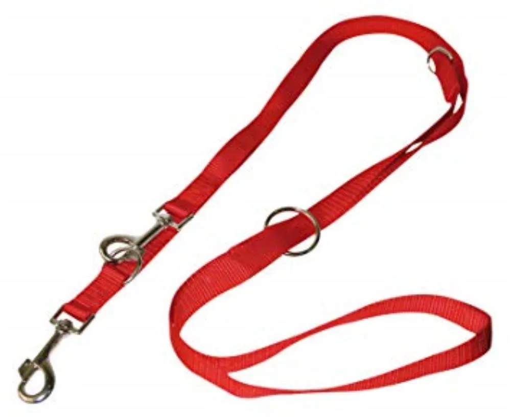 Povodac za pse najlon M 19*2200mm roze