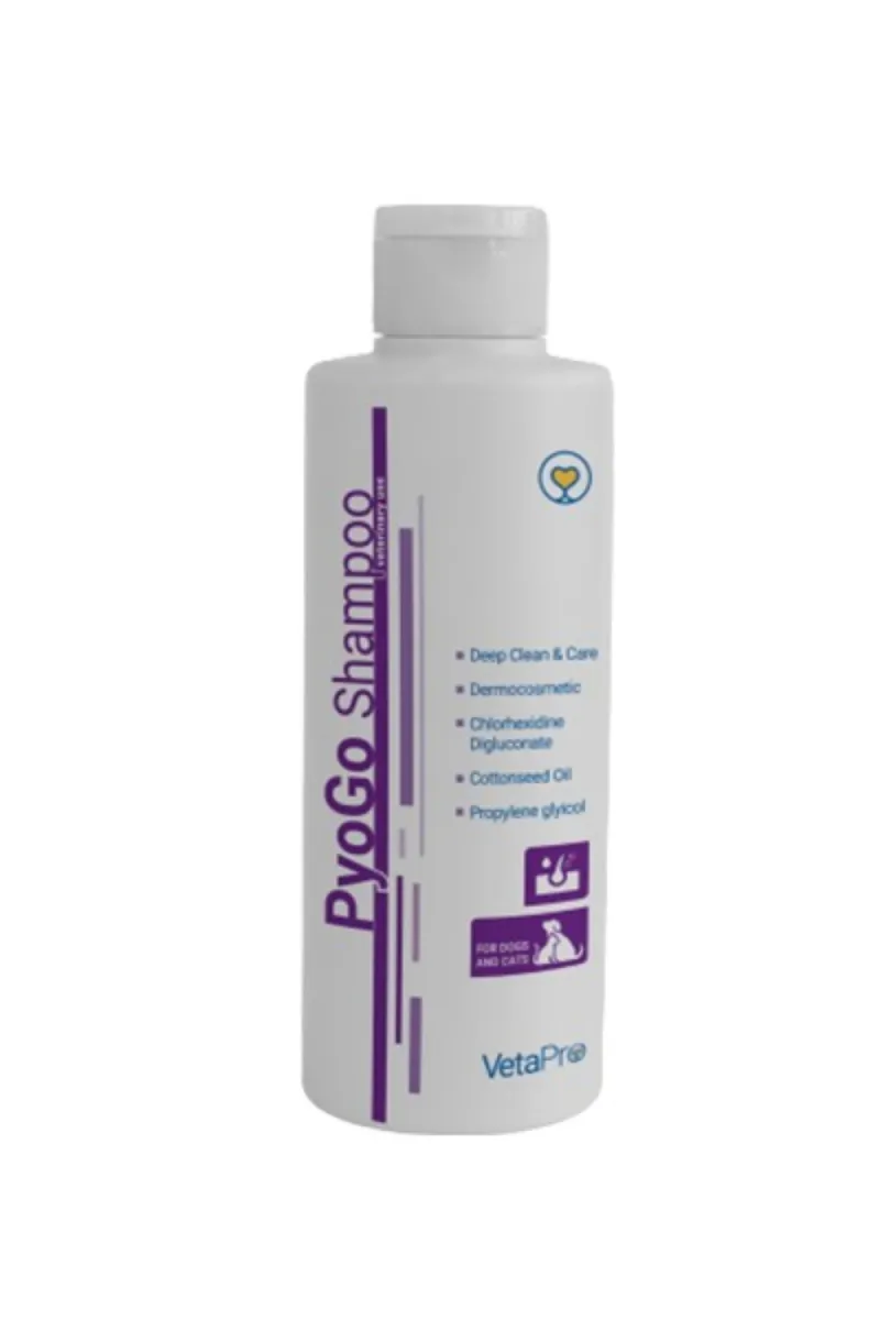 PYOGO SHAMPOO
