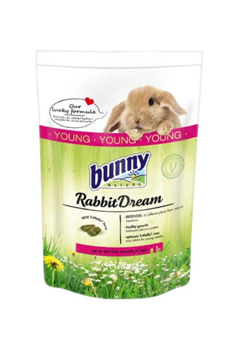 RABBIT DREAM YOUNG