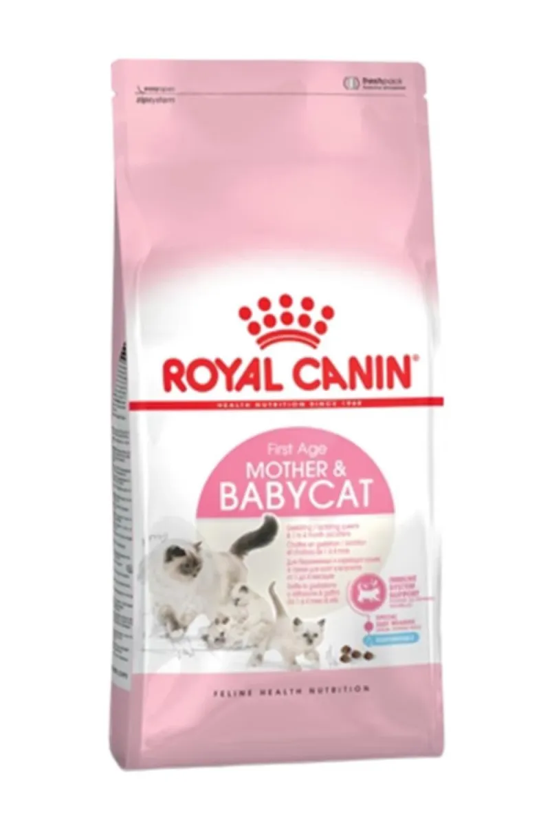 RC BABY CAT