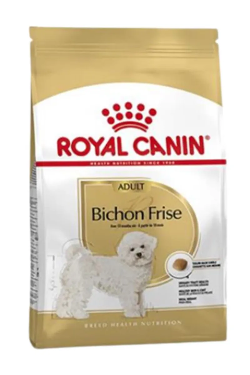 RC BICHON FRISE