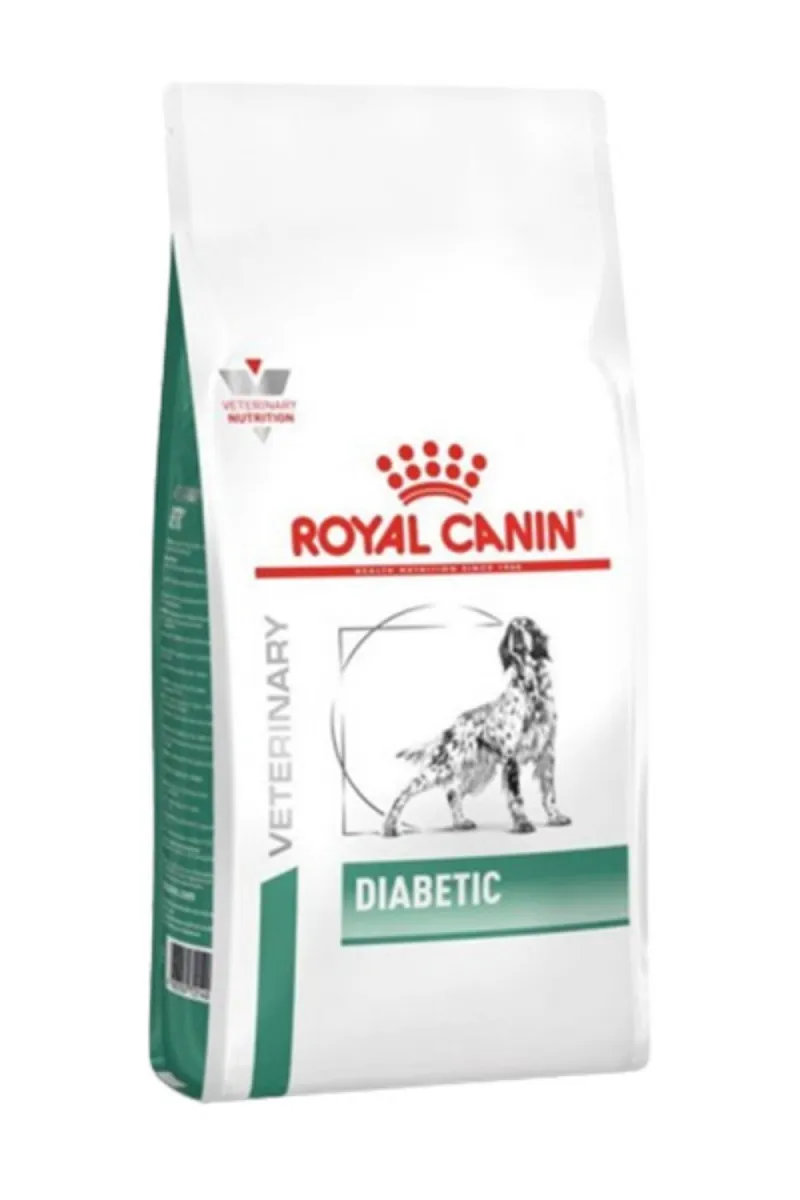 RC DIABETIC DOG