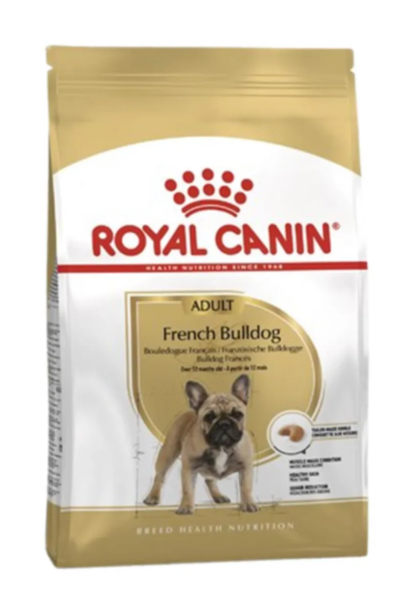 RC FRENCH BULLDOG