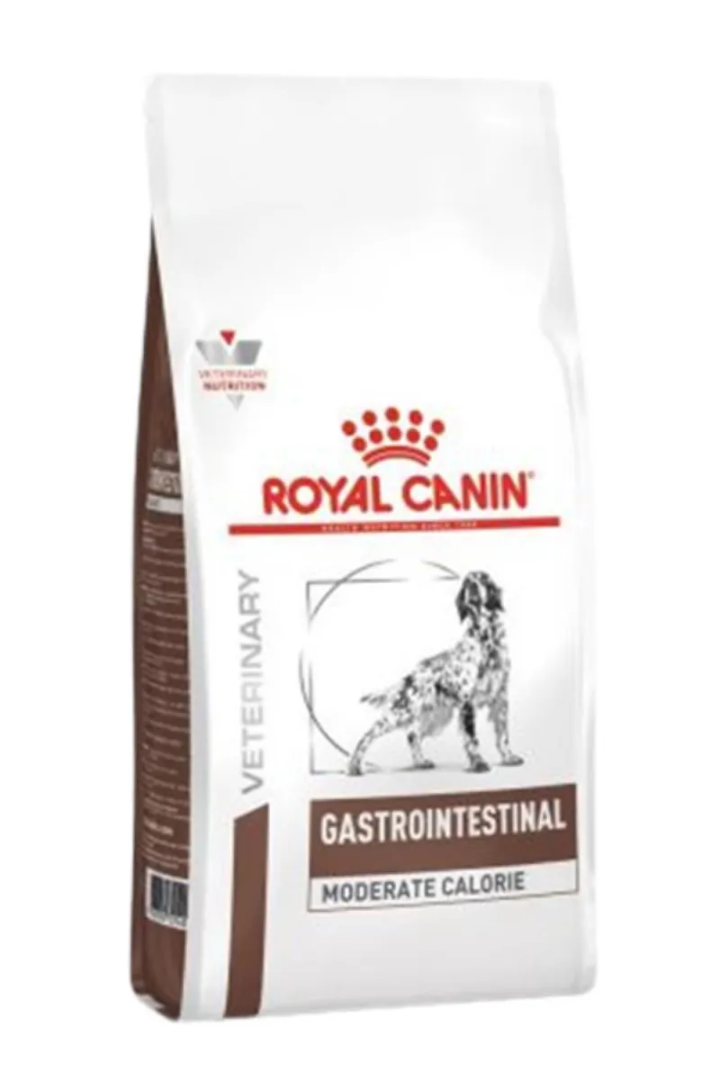 RC GASTROINT DOG