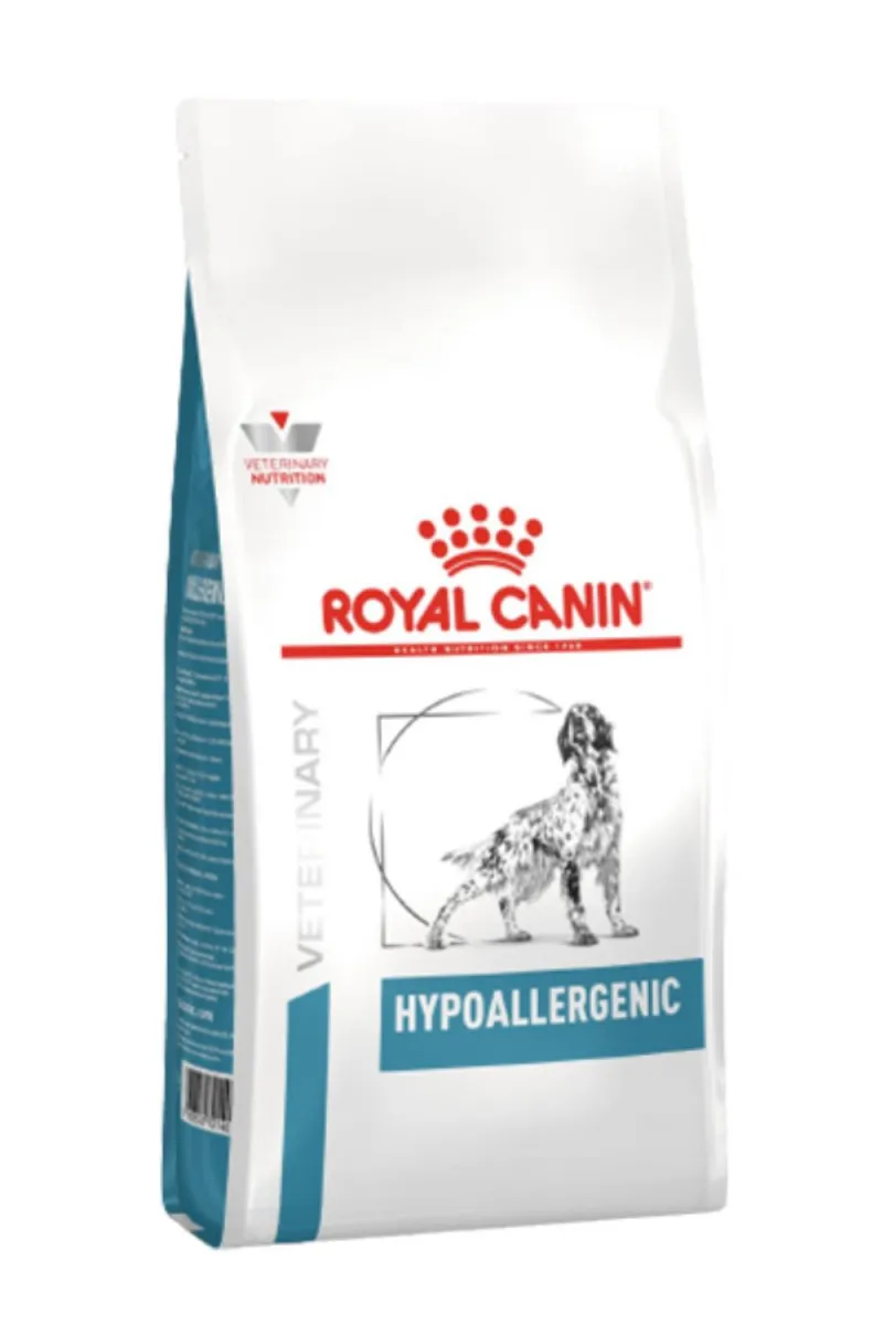 RC HYPOALL DOG