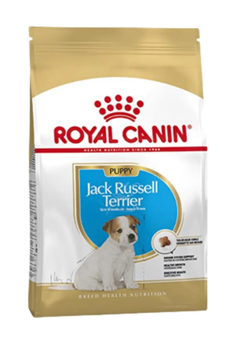 RC JACK RUSSEL PUPPY 3KG
