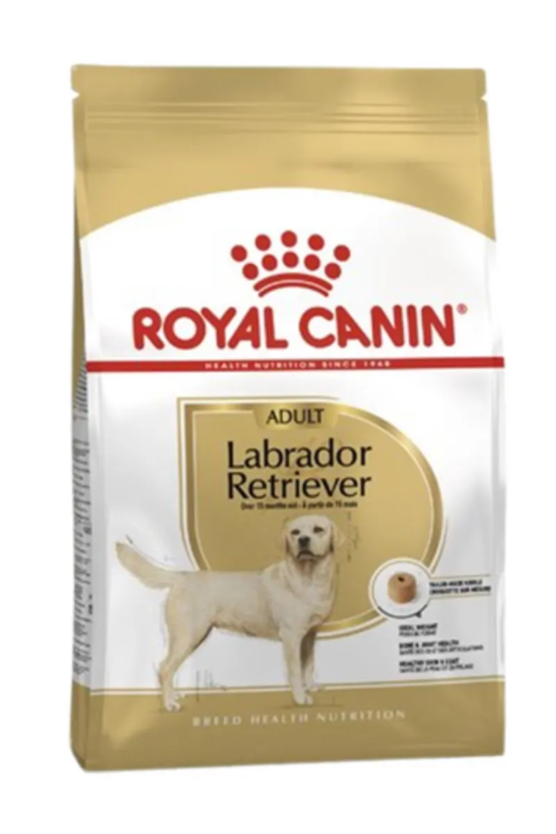 RC LABRADOR