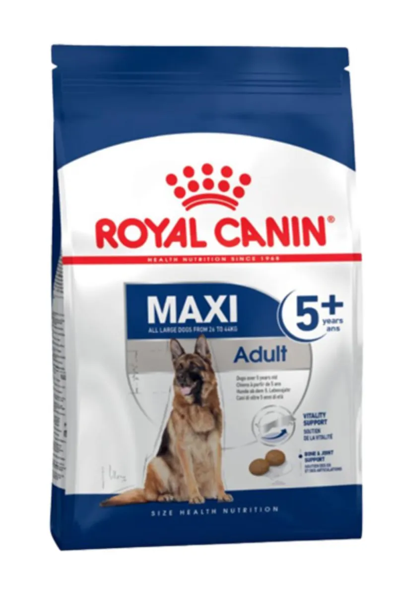 RC MAXI ADULT+5