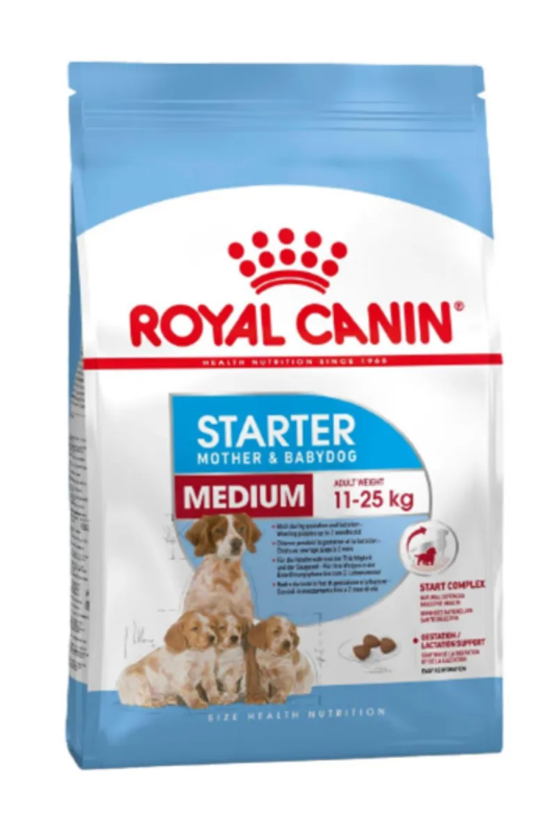 RC MEDIUM STARTER
