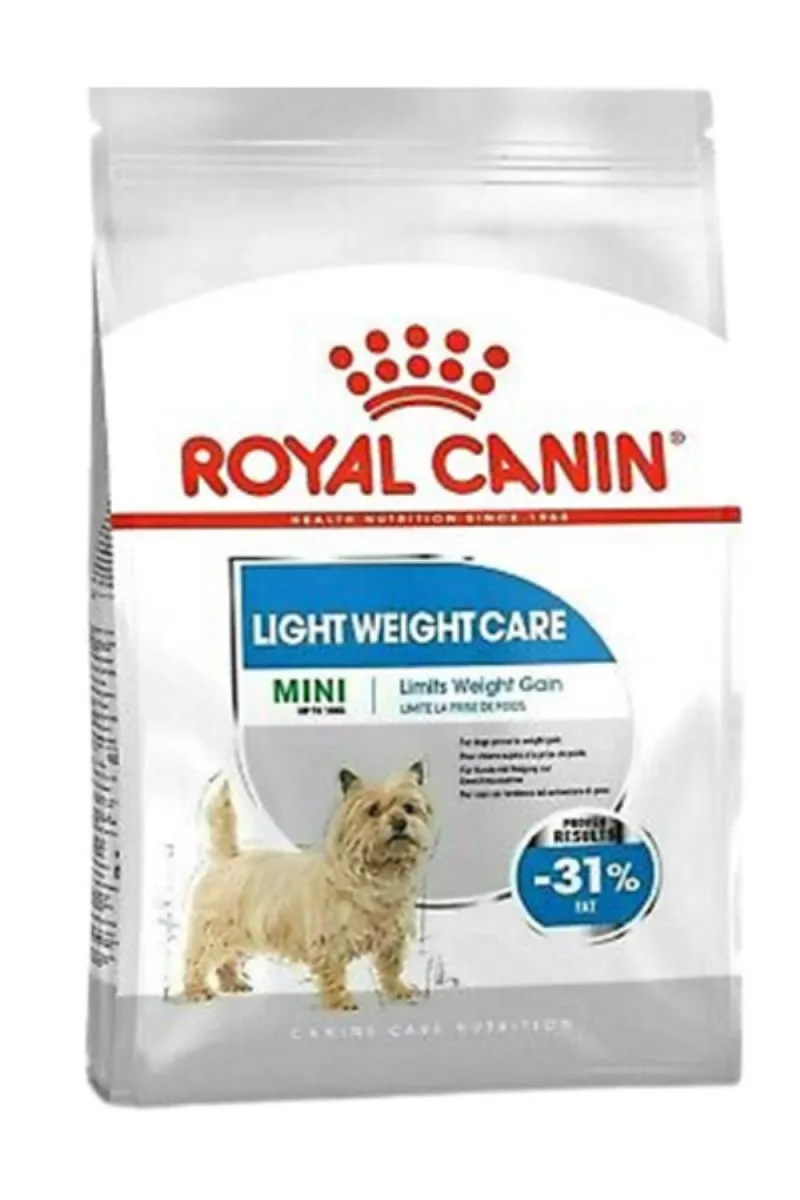 RC MINI LIGHT W CARE