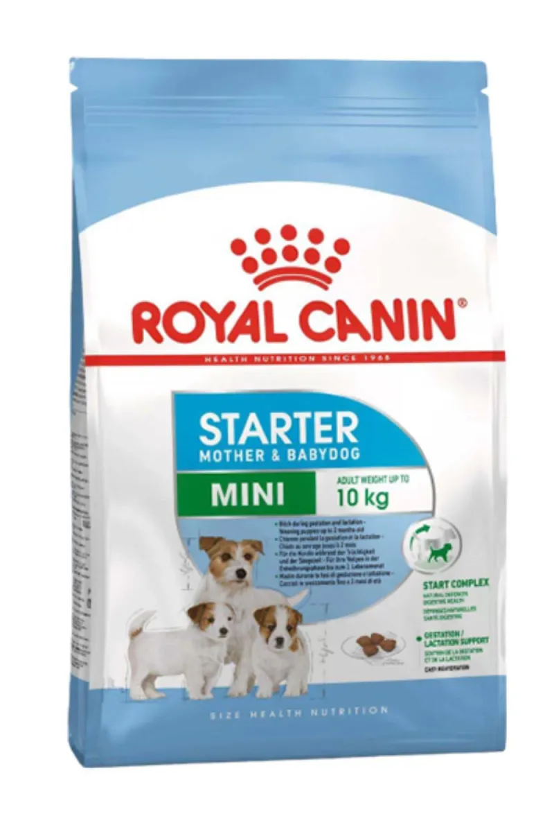 RC MINI STARTER