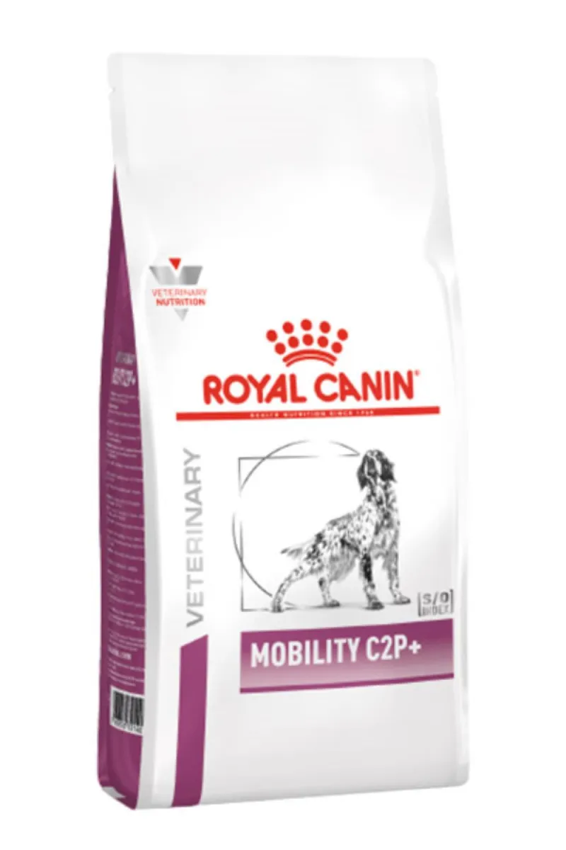 RC MOBILITY DOG