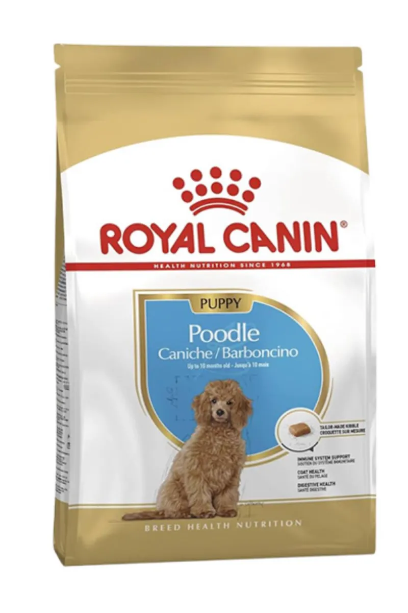 RC POODLE PUPPY