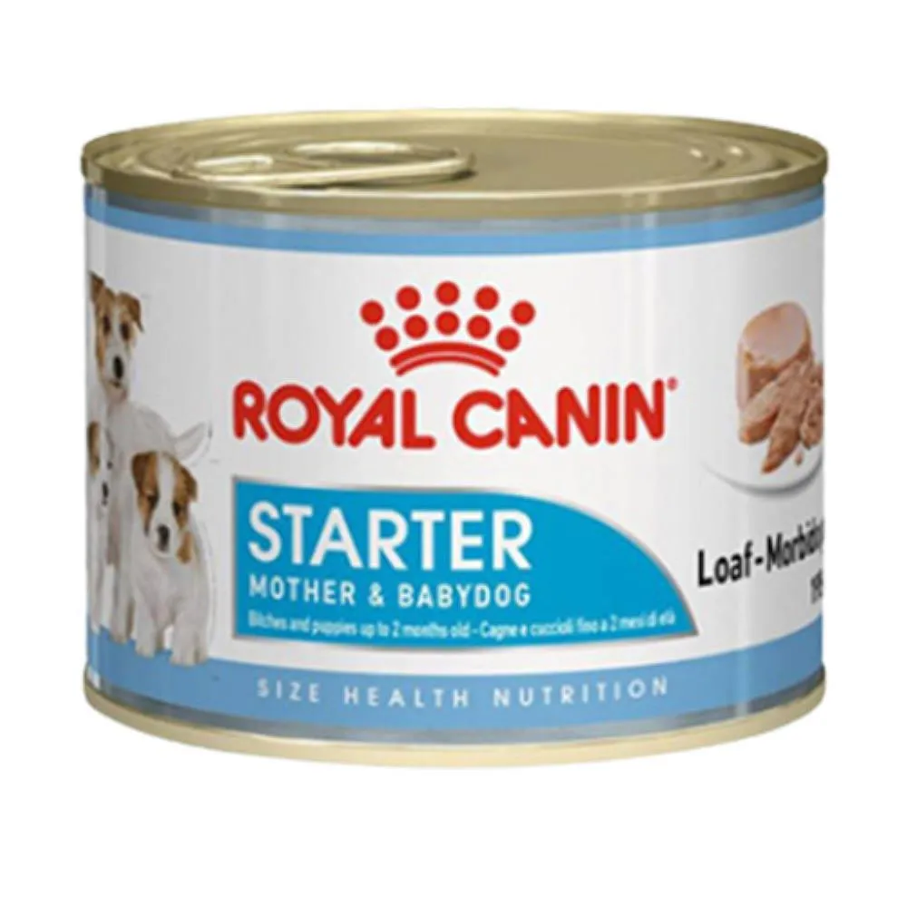 RC STARTER MOUSSE DOG KONZ 195G
