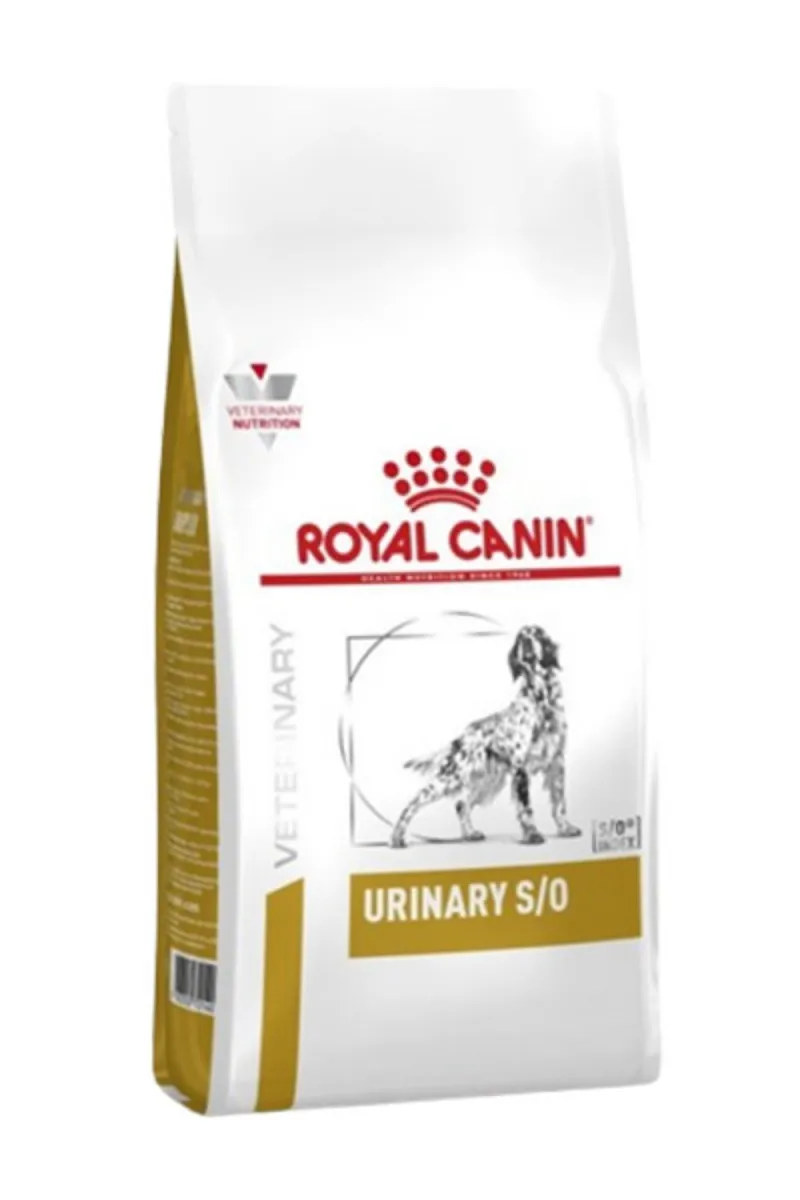 RC URINARY DOG