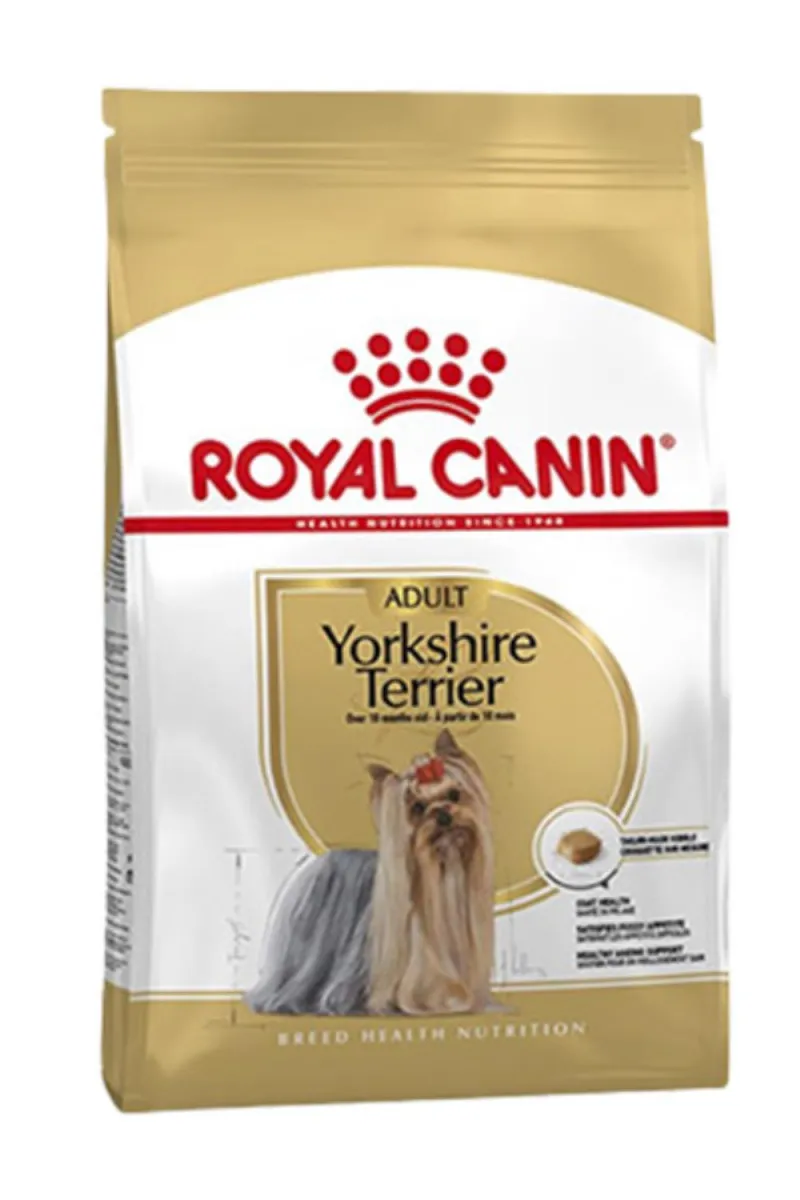 RC YORKSHIRE