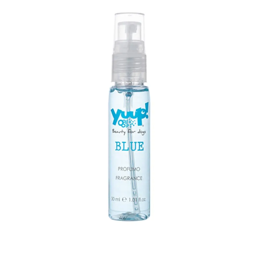 REFIL BLUE FRAGANCES 30ML