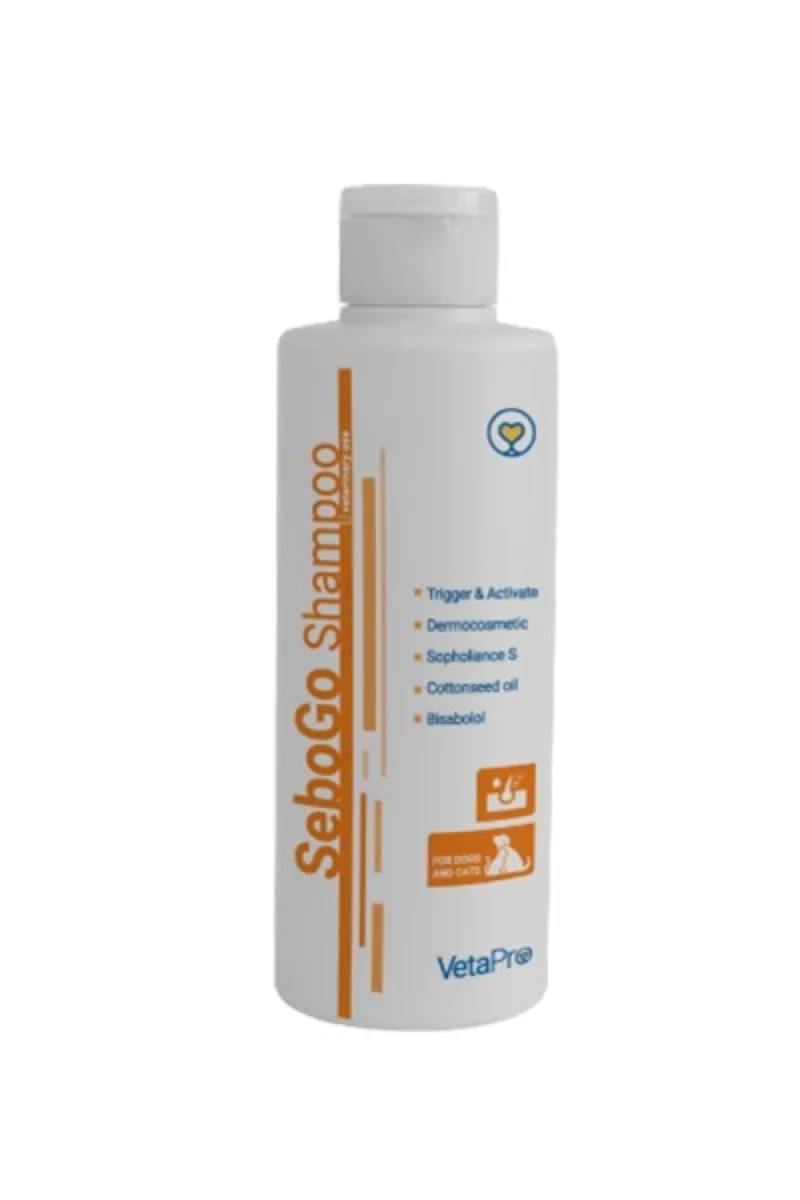 SEBOGO SHAMPOO