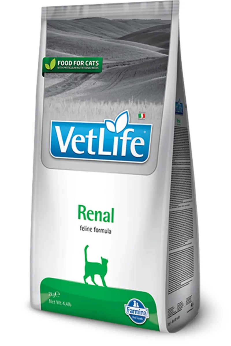 VET LIFE CAT RENAL