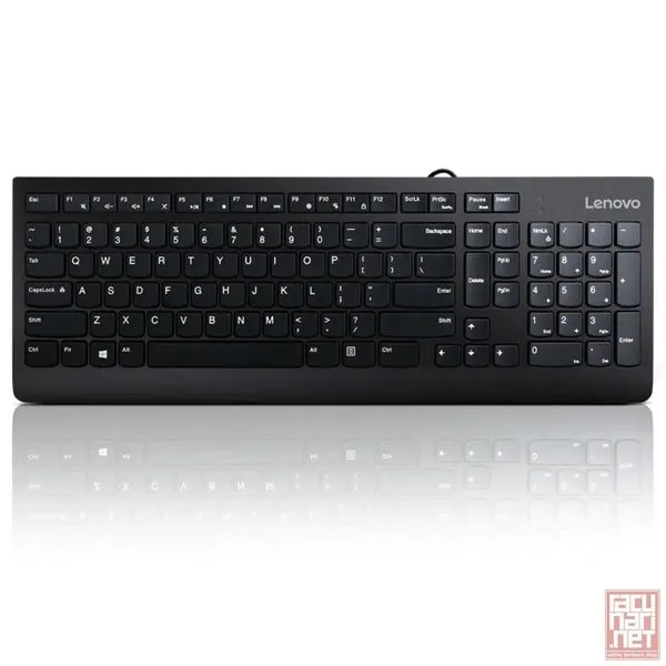 Lenovo 300, USB, US, black (GX30M39655)