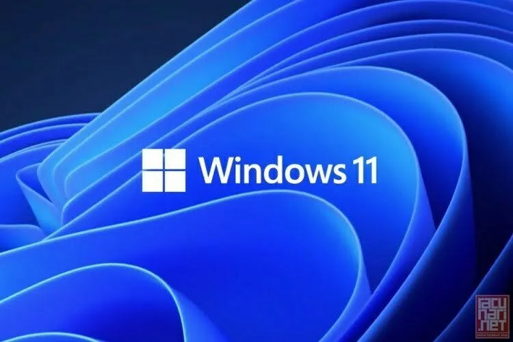 Microsoft Windows 11 Pro 64bit, English, FPP Licenca (HAV-00164)