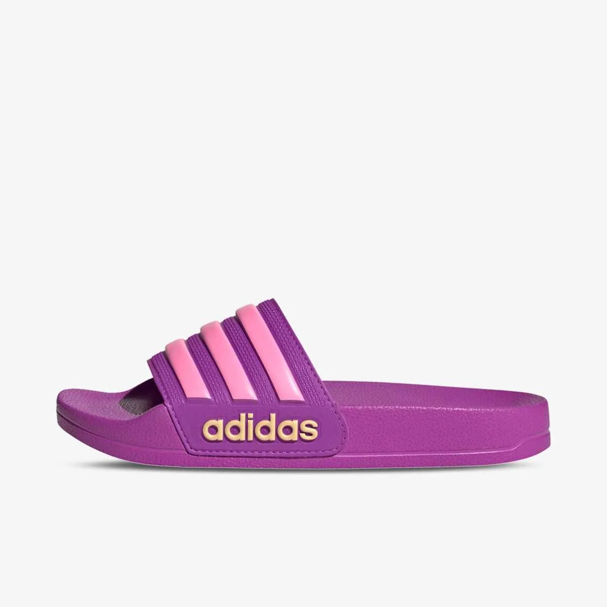 Adilette shower k