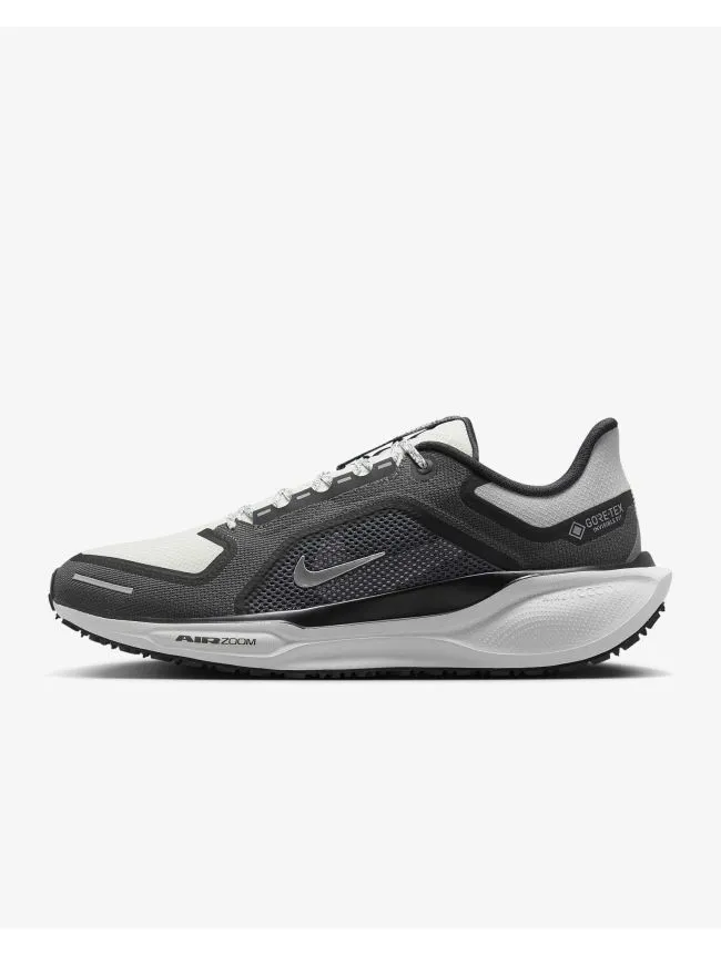 Air zm pegasus 41 gtx