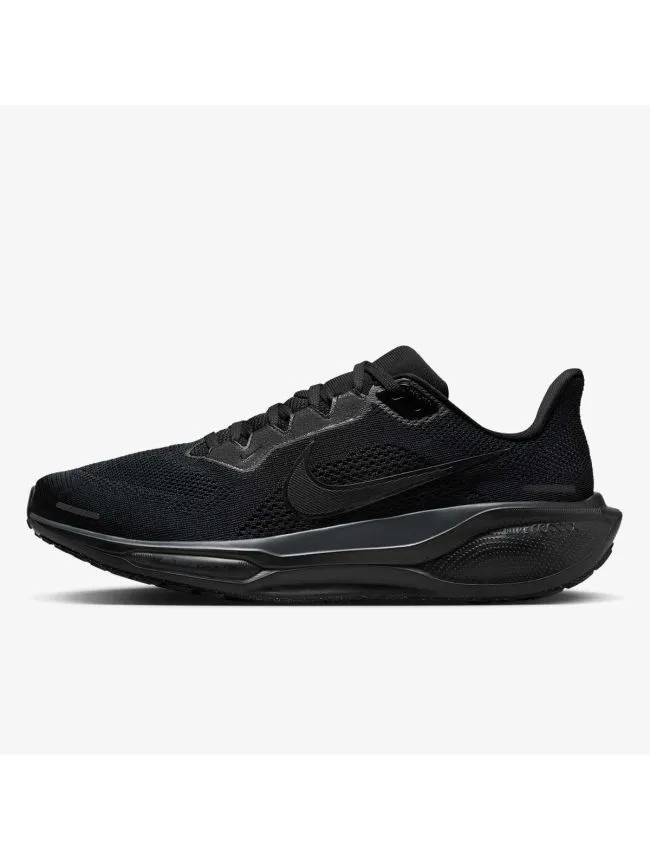 Air zoom pegasus 41