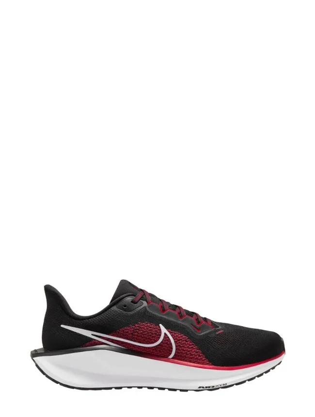 Air zoom pegasus 41